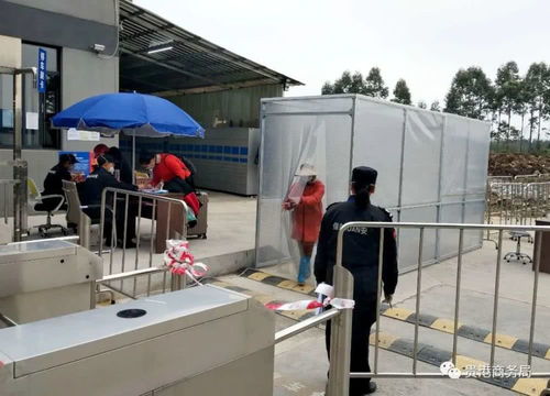 貴港市1 2月外貿進出口增速全區第一