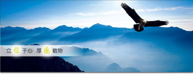 河南鑫信德實(shí)業(yè) - 阿土伯企業(yè)名錄