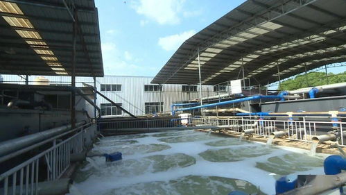 東駿紡織 工業用水回用率75 廢水趨零排放