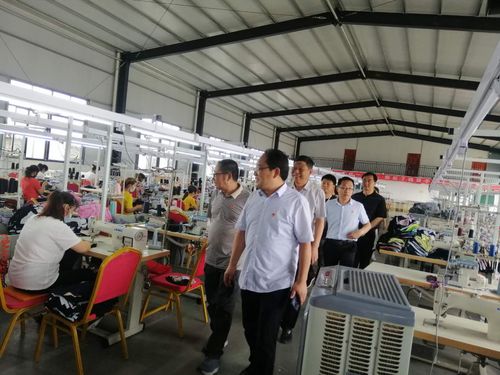 東王集鄉 專家一線調研座談解難題 強村富民開新篇