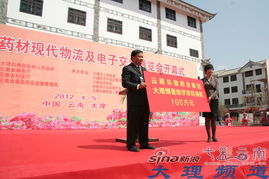 2012大理三月街民族節 亮點紛呈更精彩