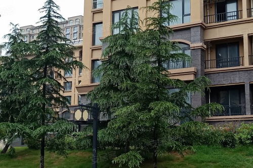 東駿閱山優點 不足,東駿閱山怎么樣,東駿閱山周邊房產中介經紀人評價 威海安居客