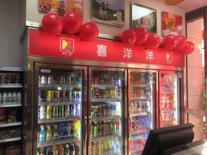 熱烈祝賀喜洋洋11月30日又迎來新店開業 韶關東駿分店