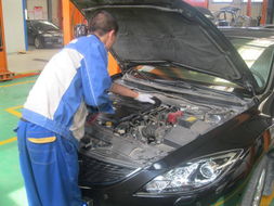 山東東駿達(dá)5.15服務(wù)實(shí)例深度解析 專(zhuān)業(yè)服務(wù)成就客戶(hù)信賴(lài)