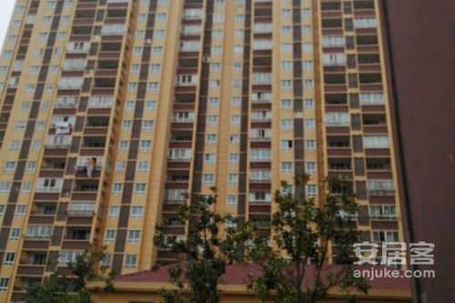 東駿華府綜合評(píng)析 優(yōu)勢(shì)、不足與周邊市場(chǎng)口碑